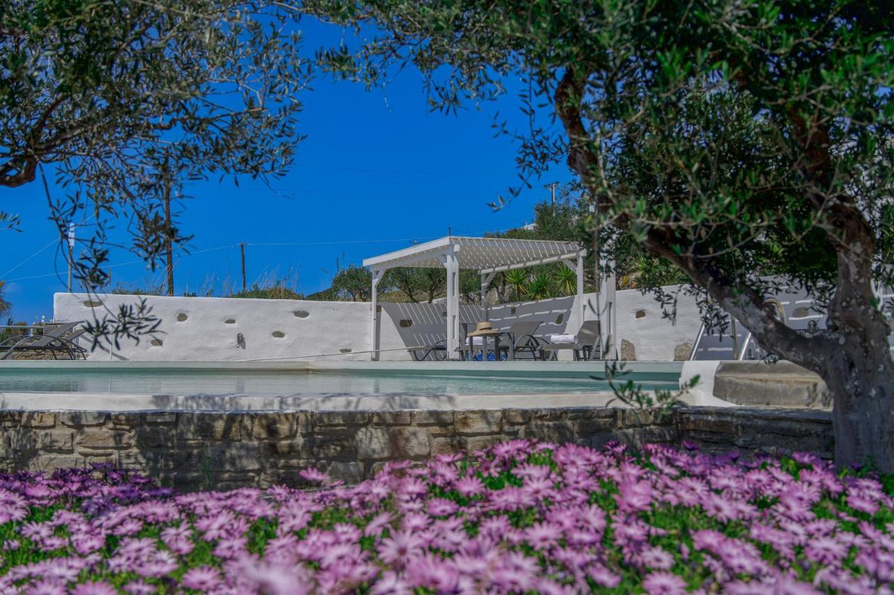Anthemion Paros - Villas & Suites Света Ирина Парос Екстериор снимка